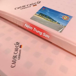 Nệm cao su Germany cao cấp, lỗ tròn vuông (nhập khẩu Đức) dạng phẳng dày 10cm Chuyên sỉ