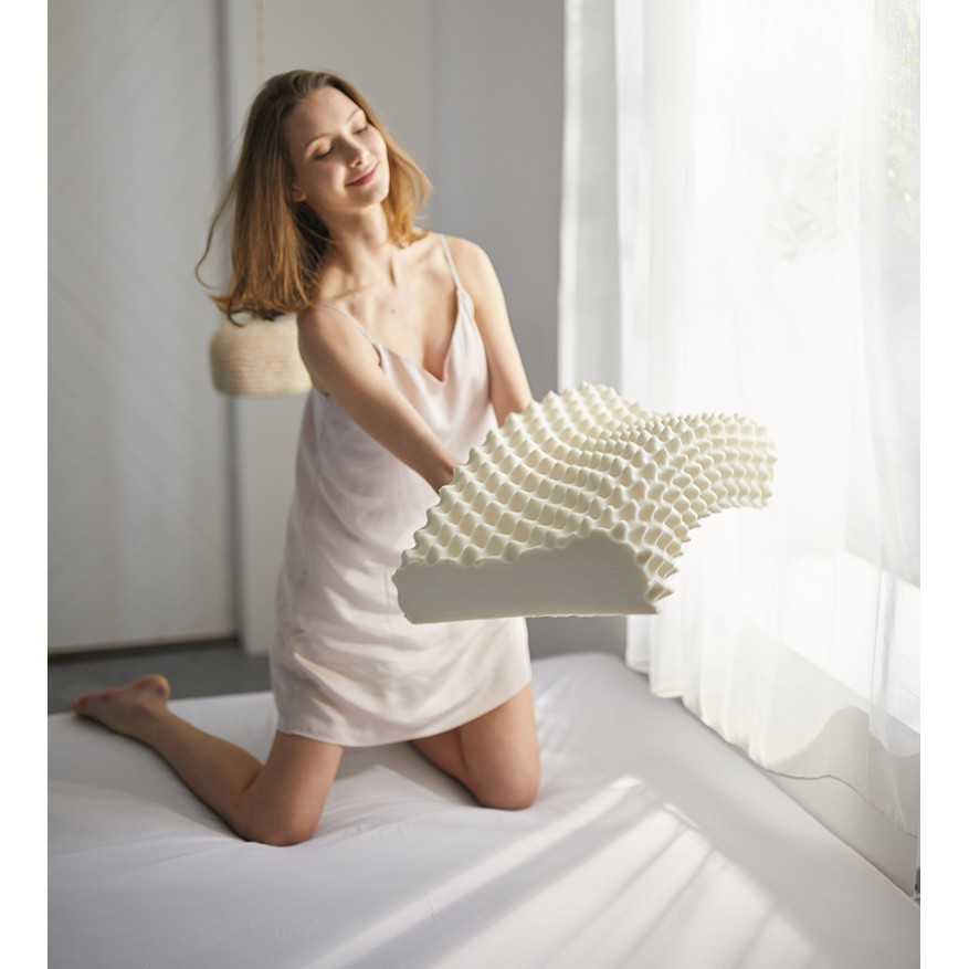 Gối cao su non Ventry cao cấp nhập khẩu Thái Lan