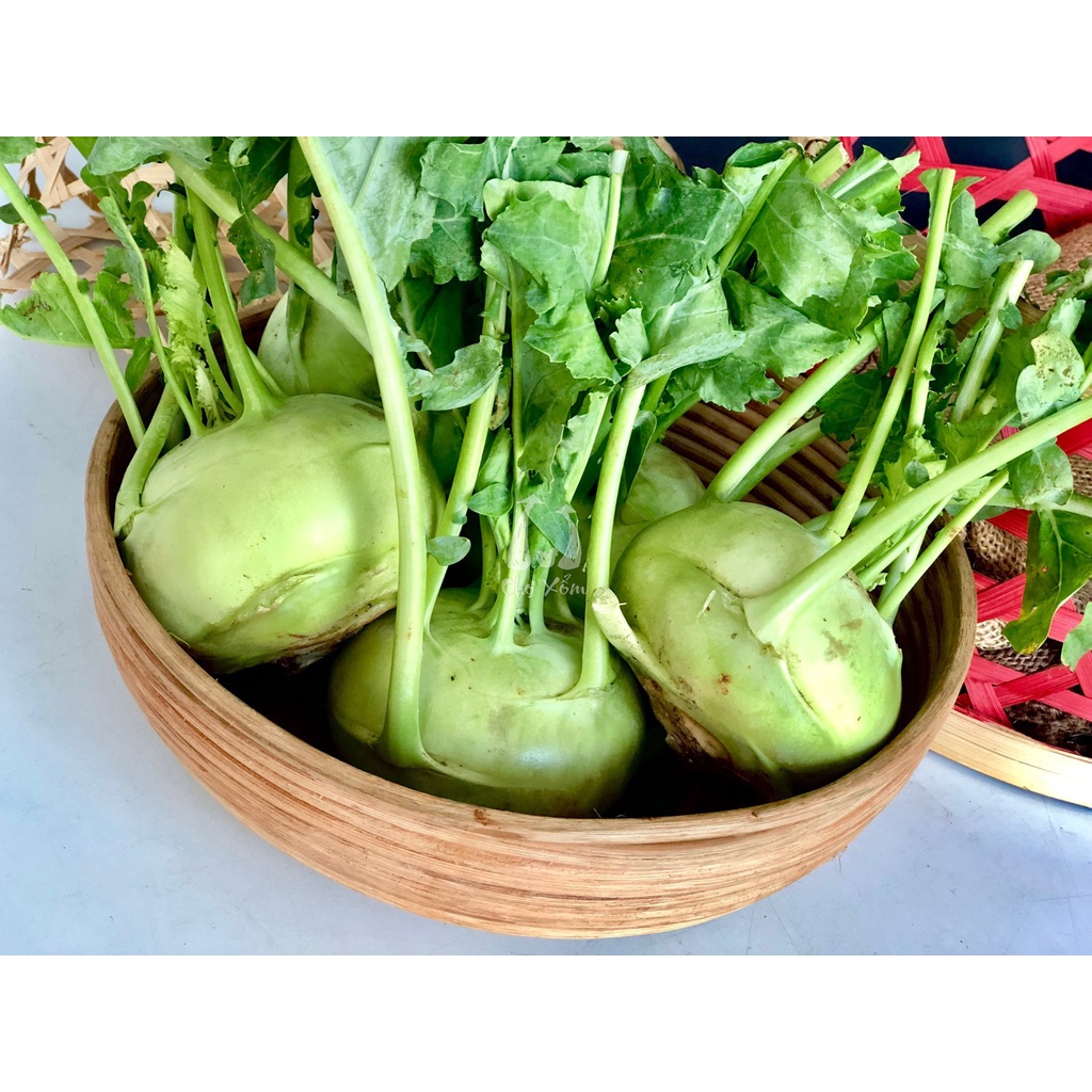 Hạt Giống Su Hào Xanh OP Cao Sản