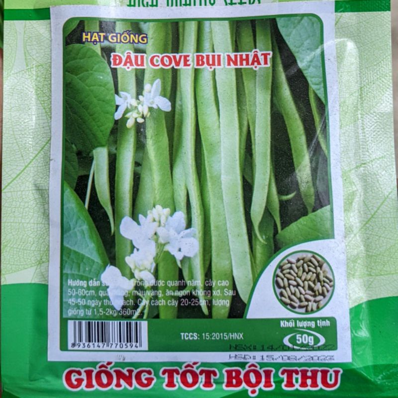 Hạt giống đậu cove bụi Nhật 50g. Thấp cây sai quả dễ chăm sóc
