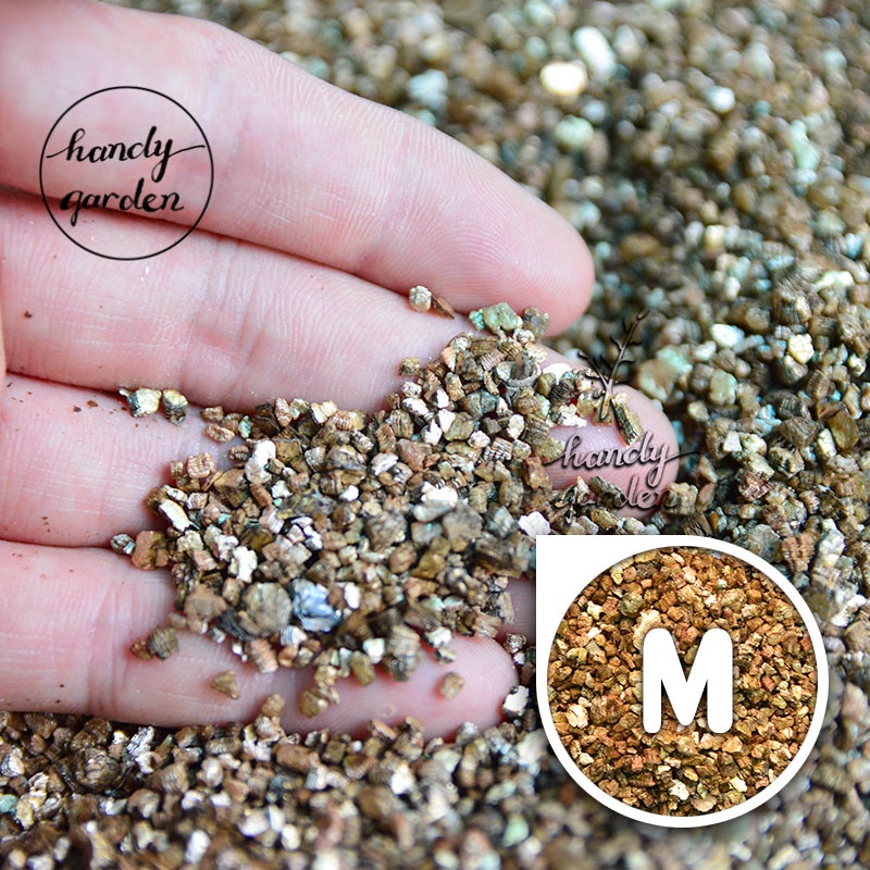 3dm³ Đá Vermiculite  size 5-8mm, 3-5mm, 1-3mm, 0.2-1mm | Handy Garden