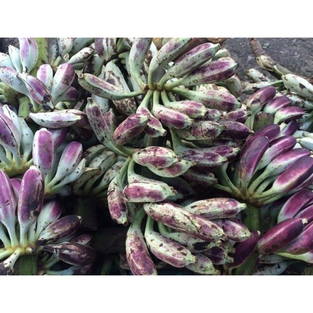 Chuối hột mỹ rừng khô