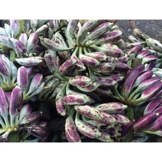 Chuối hột mỹ rừng khô