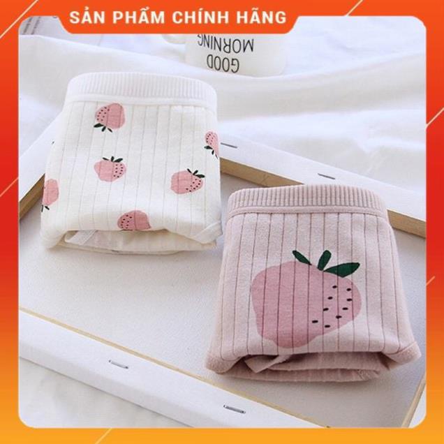 Quần Lót Cotton Co Dãn 4 Chiều Quả Dâu CuTe ( Chọn Màu )