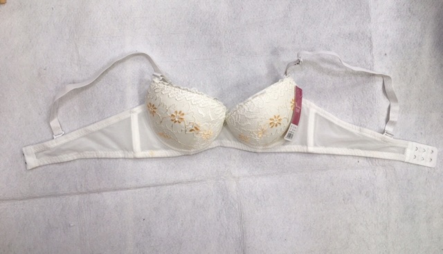 Áo ngực (8340) mút dày ren hoa văn nổi