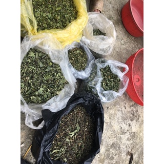 Lá tắm thảo mộc cho bé