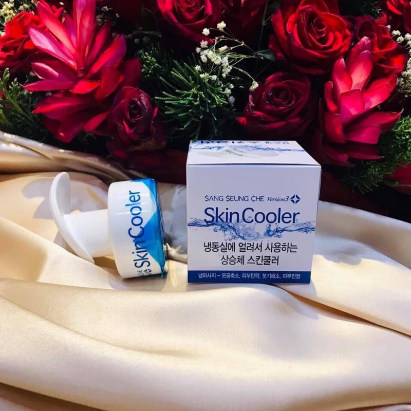 Dụng cụ làm đẹp Skin Cooler máy massage điện di lạnh