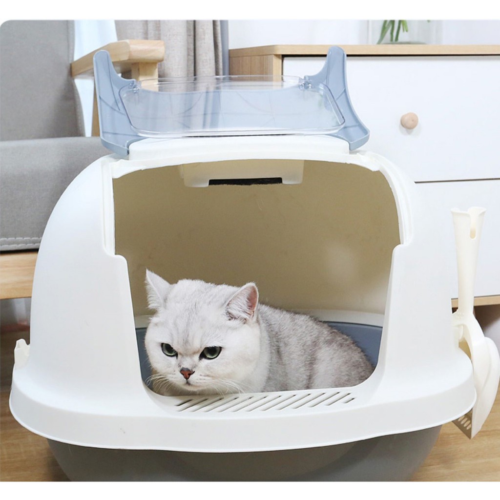 Nhà vệ sinh ngang cho mèo