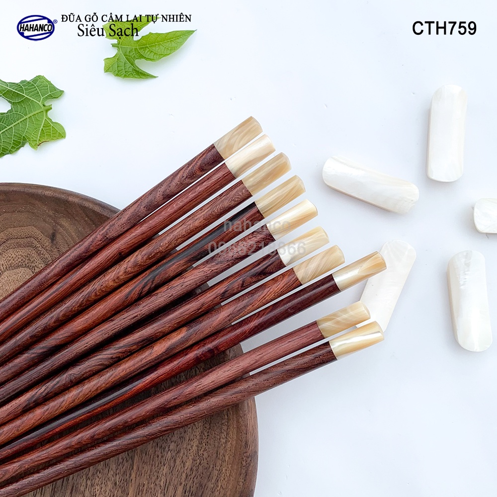 Đũa Gỗ Cẩm Đầu Ốc Biển New Zealand Kháng Khuẩn HAHANCO Siêu Sạch (10 Đôi) CTH759