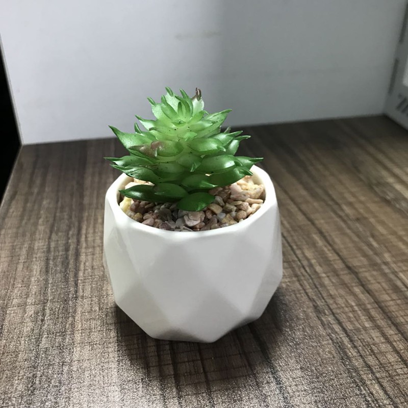 Cây Sen Đá giả mini mọng nước tặng kèm chậu Ceramic trắng có sỏi (mẫu 5)