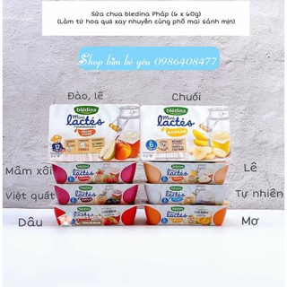 Sữa chua BLEDINA đủ vị