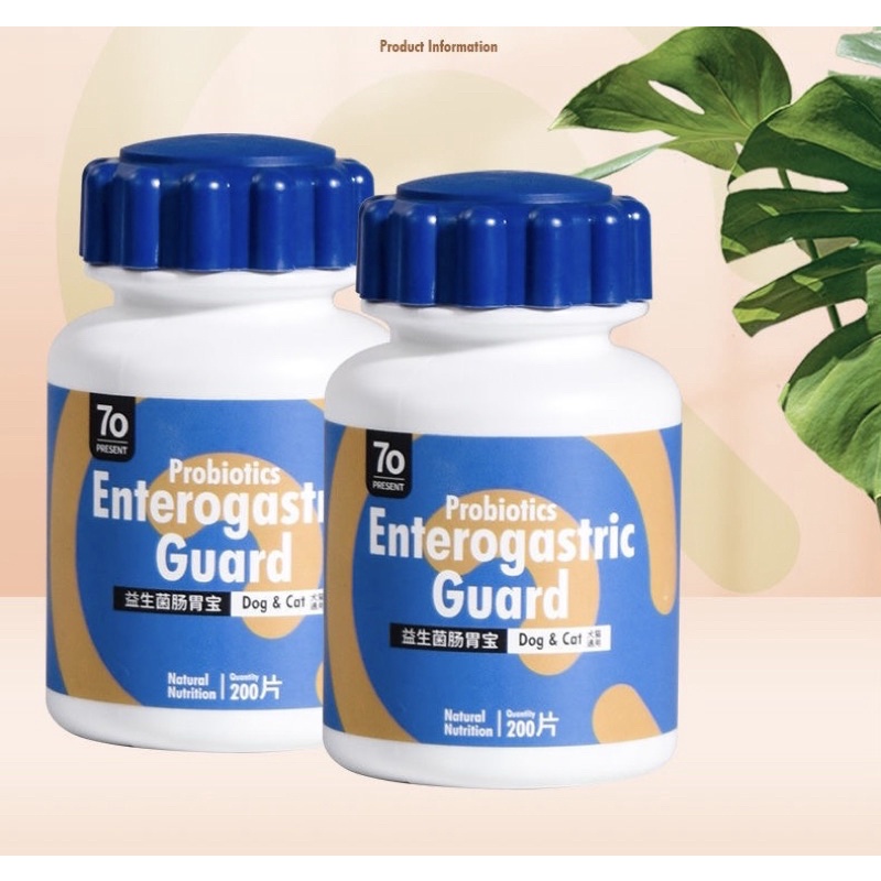 Men tiêu hóa probiotics 7o PRESENT Ổn định hệ tiêu hóa ngăn ngừa các bệnh về tiêu hóa cho chó mèo hấp thụ dinh dưỡng tốt