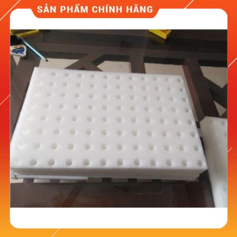1 TẤM MÚT XỐP ƯƠM HẠT