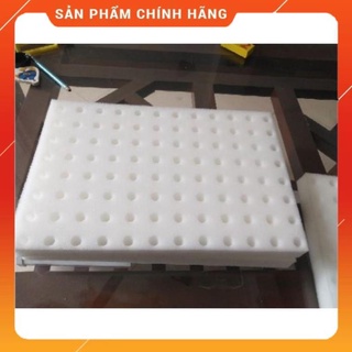 1 tấm mút xốp ươm hạt