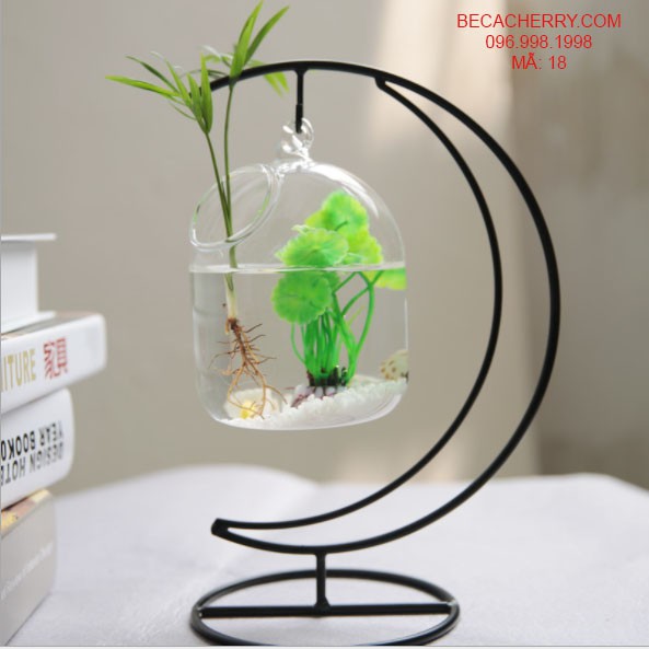 Bể cá mini cung trăng 18 ( Tặng kèm phụ kiện trang trí )
