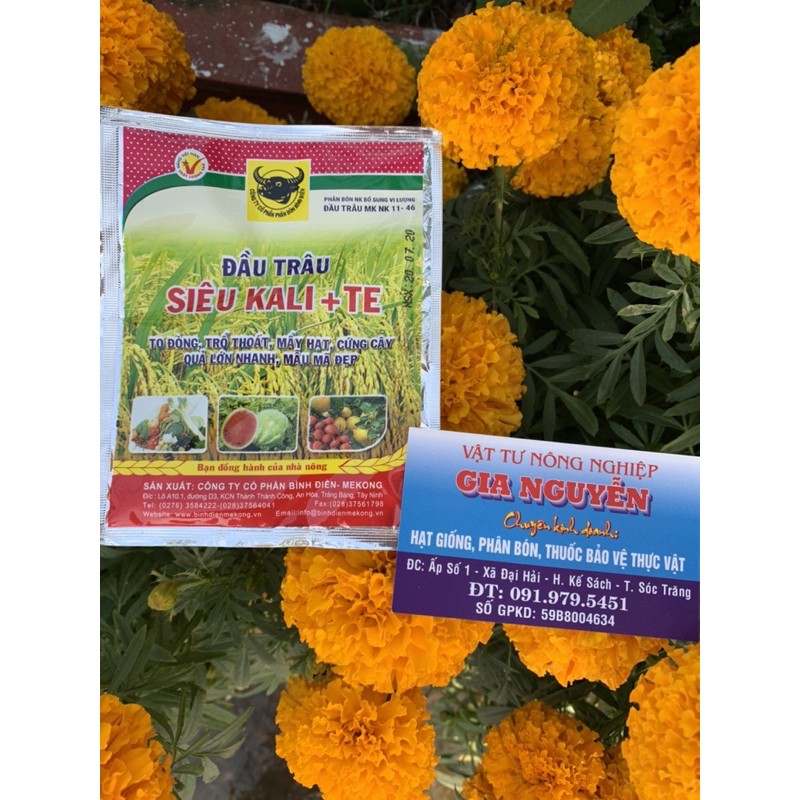 Siêu Kali + TE giúp to đòng, trổ thoát, mẩy hạt, cứng cây quả lớn nhanh, mẫu mã đẹp 25gr