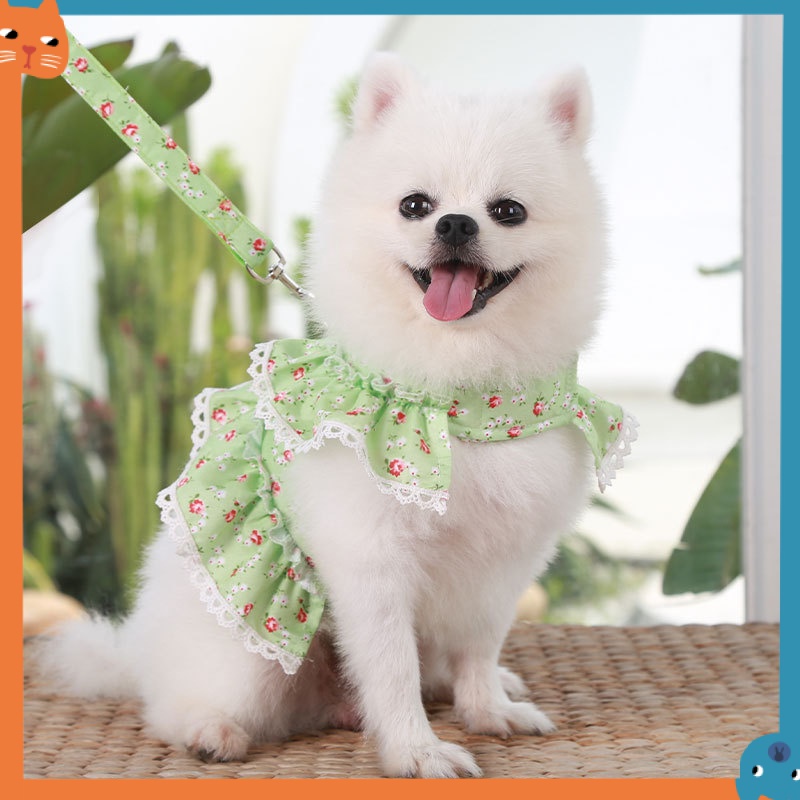Dây Dắt Thú Cưng Đi Dạo Họa Tiết Hoa Xinh Xắn