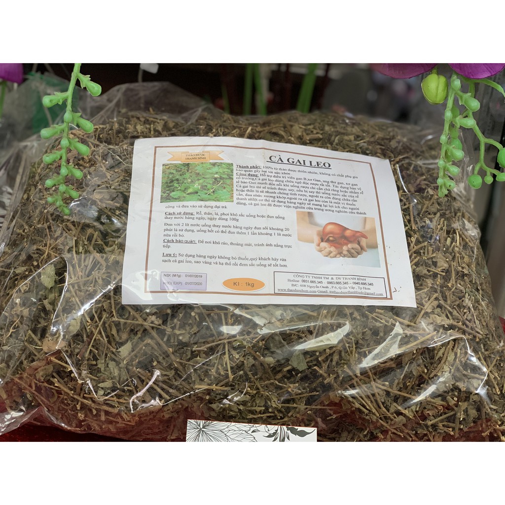 Cà Gai Leo 100g - Loại Xịn Hàng Công Ty