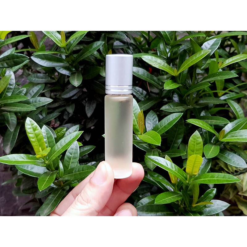 1 Chiếc lăn môi dầu dừa nguyên chất cực sịn