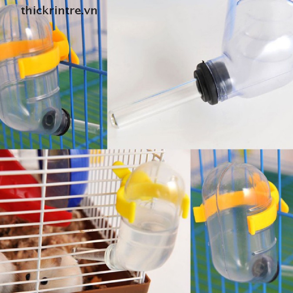 Bình Uống Nước Tự Động Cho Thỏ / Chuột Hamster