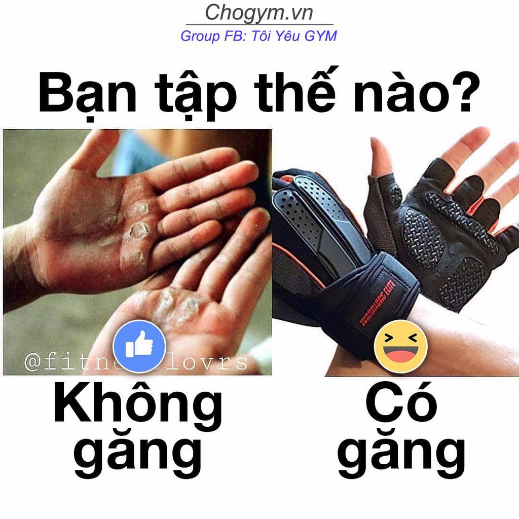 Gang Tay Tập Thể Dục , Tập Gym Cao Cấp - LAM SPORT