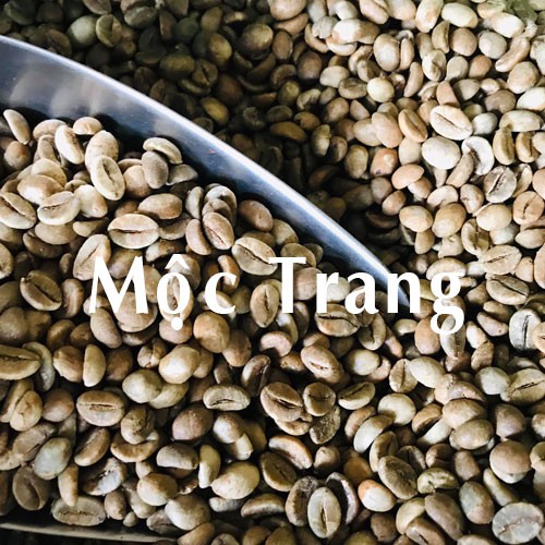 [GIÁ GỐC] 500gr Cà phê Robusta Rang Mộc dạng HẠT/BỘT - Cà phê hạt rang xay mộc pha phin pha máy