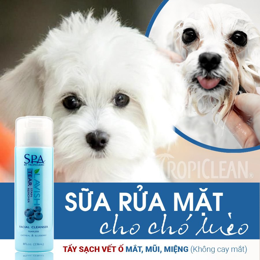 Dung dịch tẩy ố mắt cho chó mèo SPA Tropiclean 236ml