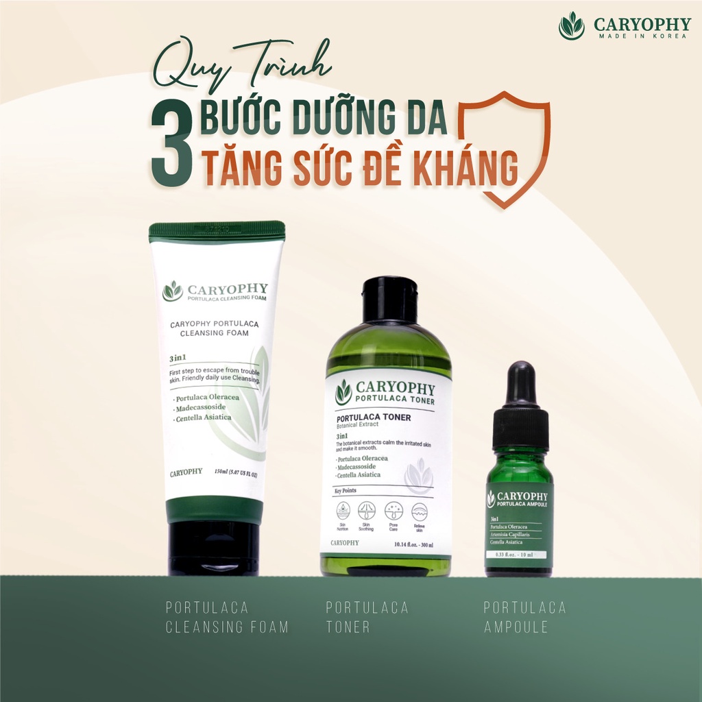 Bộ 3 Sản Phẩm Dưỡng Da Chống Lão Hóa CARYOPHY Portulaca (Cleansing Foam + Ampoule + Toner) Gomi
