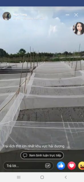 Lồng , tráng , vèo nuôi ếch - loại 3x2x0,8v20