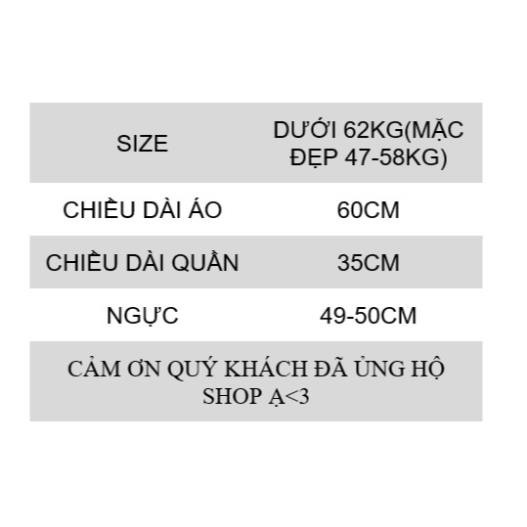 [RẺ VÔ ĐỊCH] Bộ Pijama Đùi Cộc Kate Thái Form 40-60kg | BigBuy360 - bigbuy360.vn