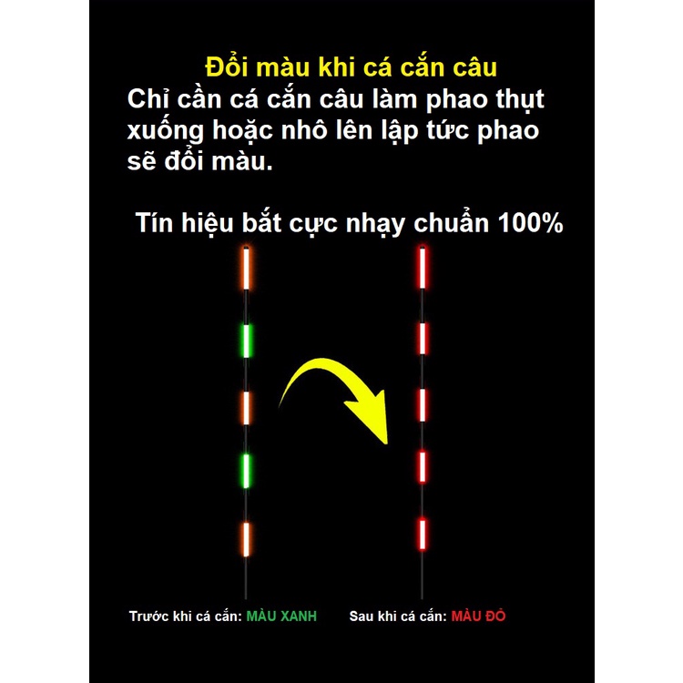 Phao câu đài, câu đơn đêm chuyên câu cá chép, diếc ( Tặng kèm pin )