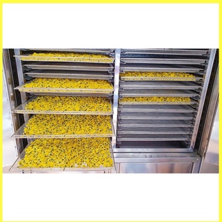 Trà hoa cúc hữu cơ Organic
