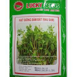 HẠT GIỐNG RAU SÂM ĐẤT 9RAU SAM) GÓI 0,5G