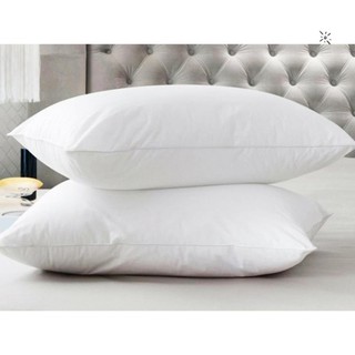 Combo 2 Ruột gối nằm bông gòn cao cấp 50 cm x 70 cm Chato Bedding