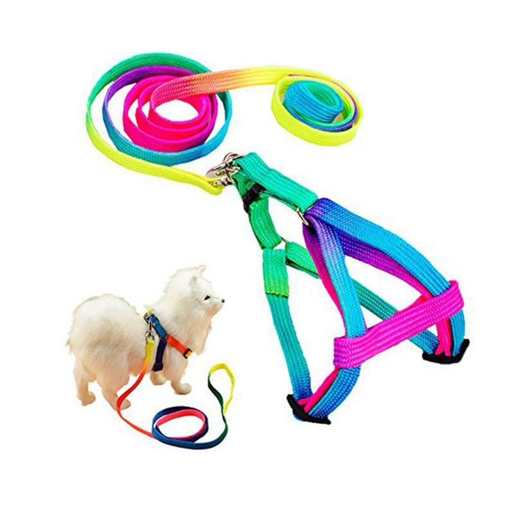 Dây dắt thú cưng bằng nylon màu cầu vồng chỉnh được tiện lợi cho thú cưng