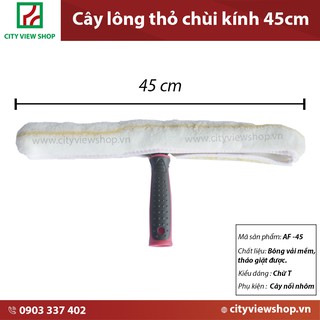Cây bông thỏ lau kính 45 cm
