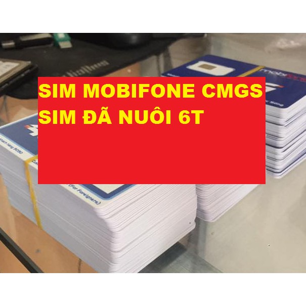 SIM MOBIFONE TRÊN 6 THÁNG LÀM CMGS