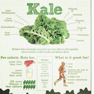 HẠT GIỐNG CẢI KALE XANH, KALE TÍM - 10 hạt/ gói