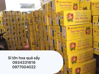 Mít sấy Tề Hùng 