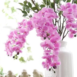 Hoa lan giả cao su silicol siêu bền đẹp (size nhỏ)