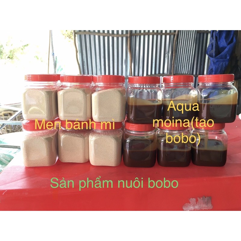 Sản phẩm nuôi bobo đạt 100%