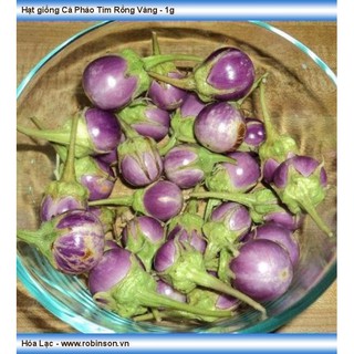 Hạt Giống Cà Pháo Tím - 2 gram - DC