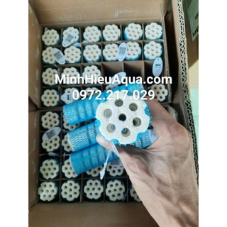 Sứ củ sen Mountain Tree Root 3 dành cho cá biển