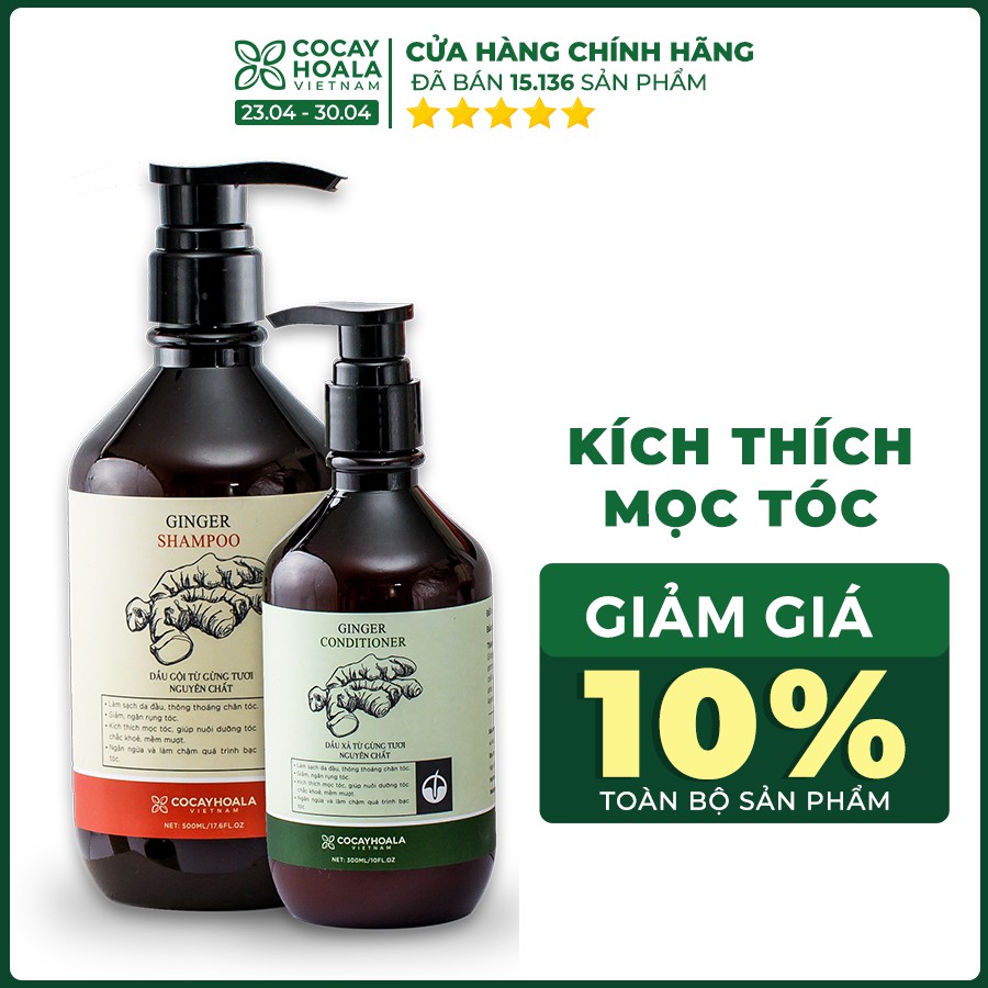 Bộ dầu gội xả gừng tươi Cocayhoala kích thích mọc tóc dầu gội 500g dầu xả 300g | BigBuy360 - bigbuy360.vn