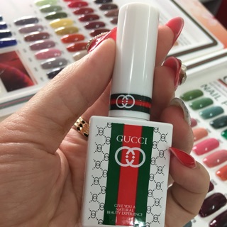 Sơn gel Guci
