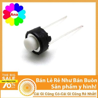 Nút Nhấn 2 Chân