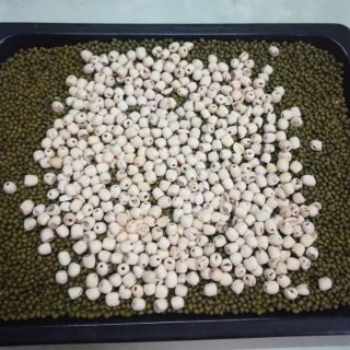 Bột Đậu xanh hạt sen 1kí
