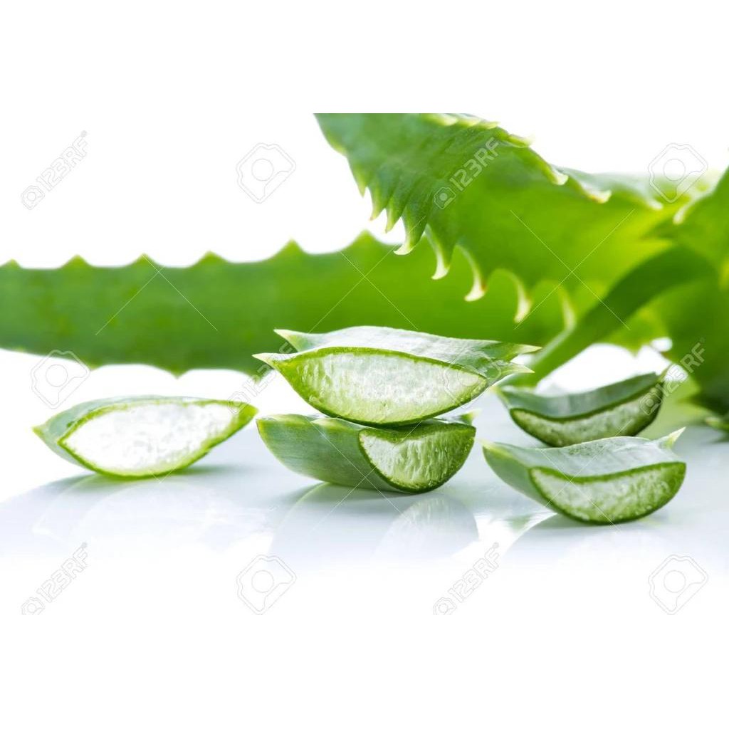 Trà mật ong Nonghyup 1kg