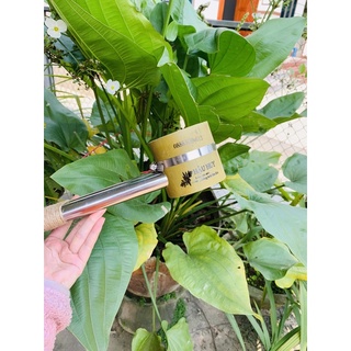 Ống hơ ngải cứu tre có lưới an toàn (đơn)