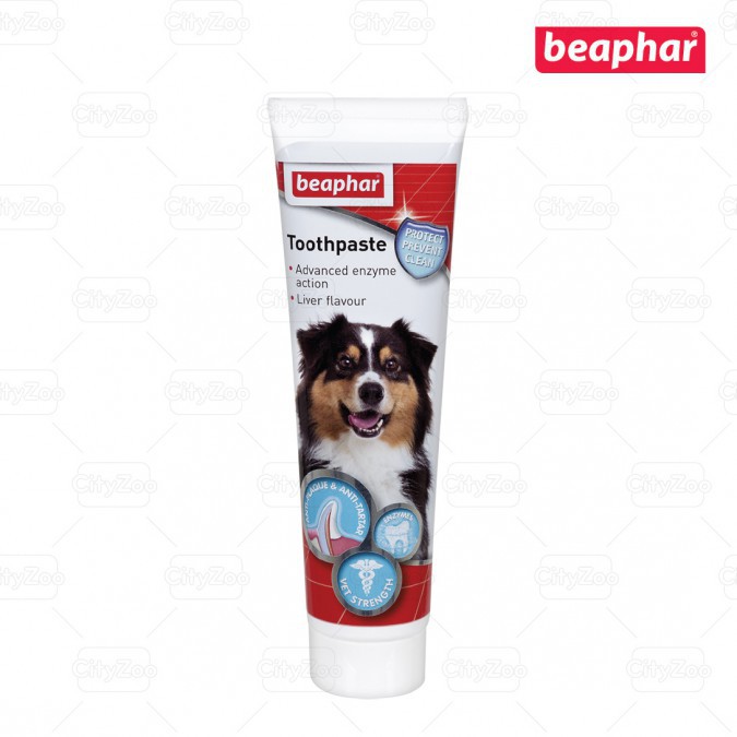 KEM ĐÁNH RĂNG CHÓ MÈO - BEAPHAR TOOTHPASTE DOG/CAT 100GR